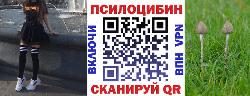 наркошоп  Мытищи  Псилоцибиновые грибы ЛСД 