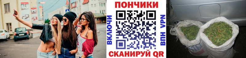 Бошки марихуана OG Kush Мытищи